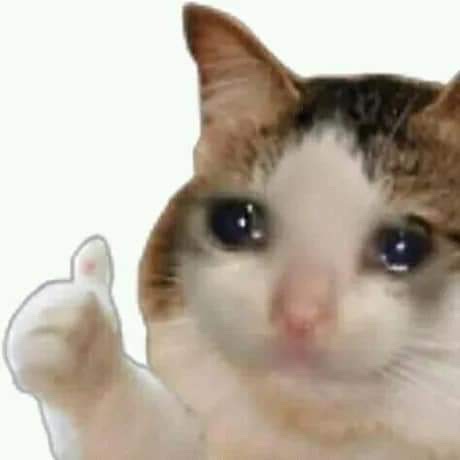 야니뷰티 이미지