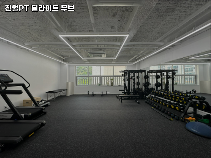 진월PT딜라이트무브 이미지