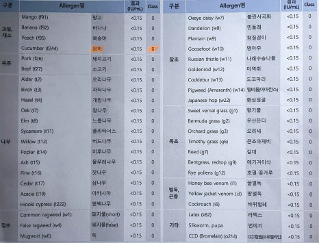 원캠 이미지