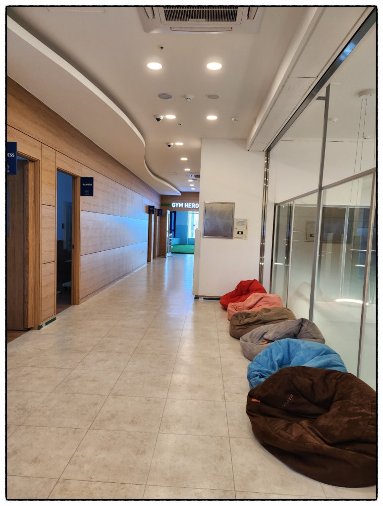위즈아일랜드어학원 이미지