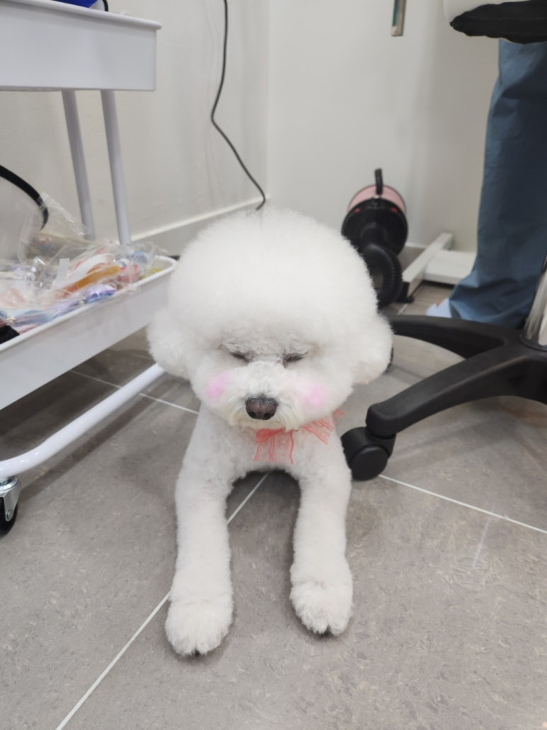 몽이미용실 이미지