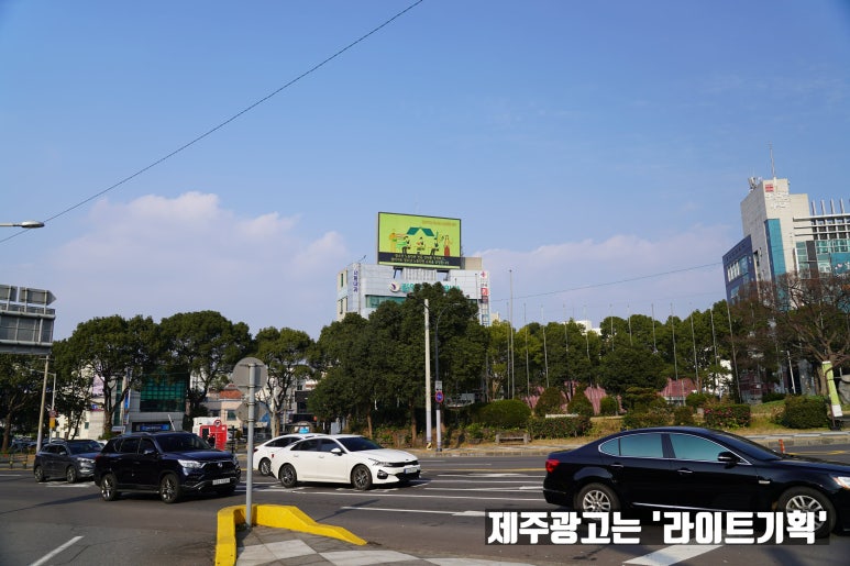 김영석성형외과 이미지