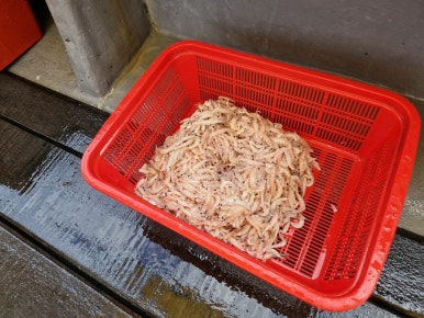 카페브루 이미지
