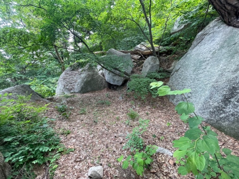 보문상회 이미지