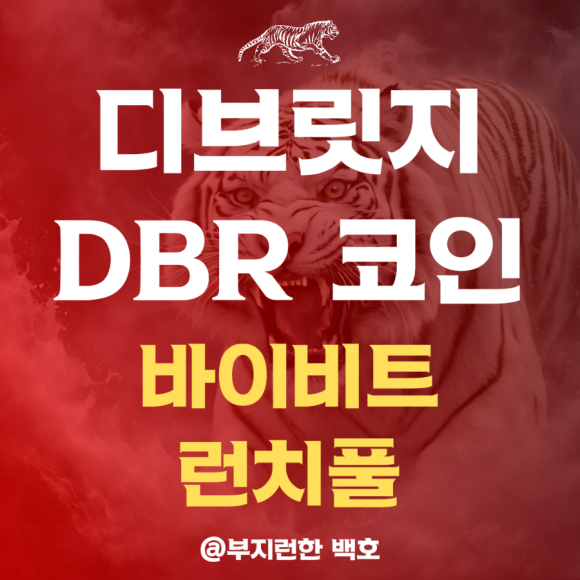 디브리지 이미지