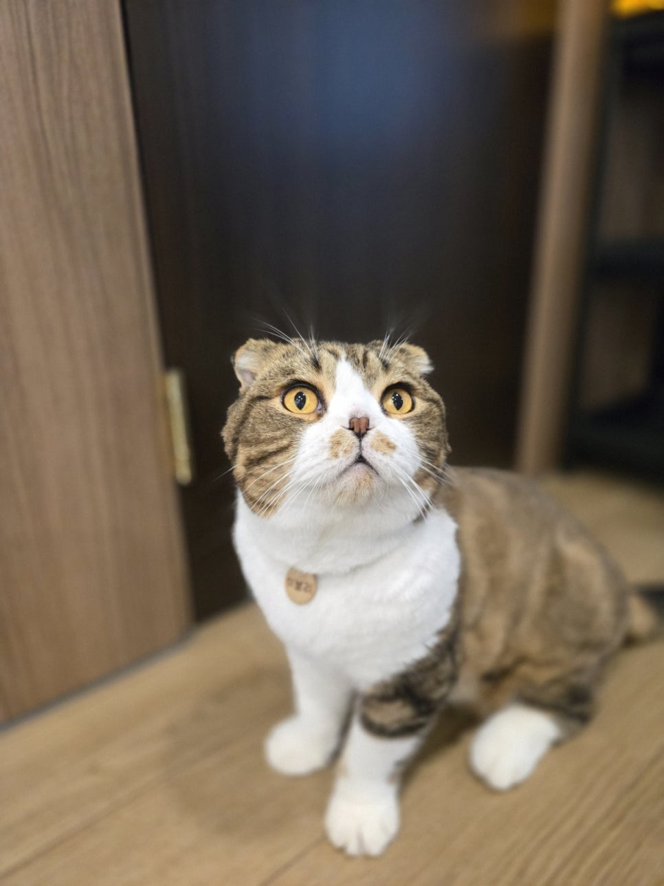 텔링쉼터 이미지