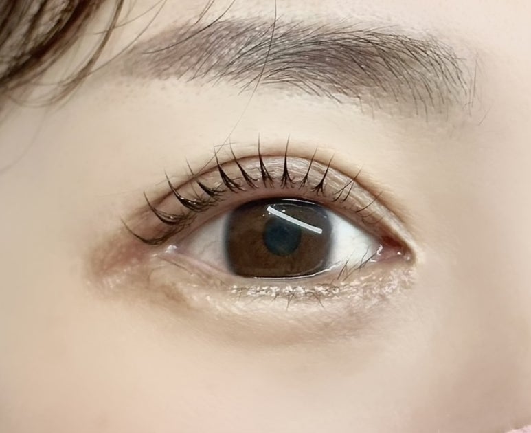 다뷰래쉬 이미지