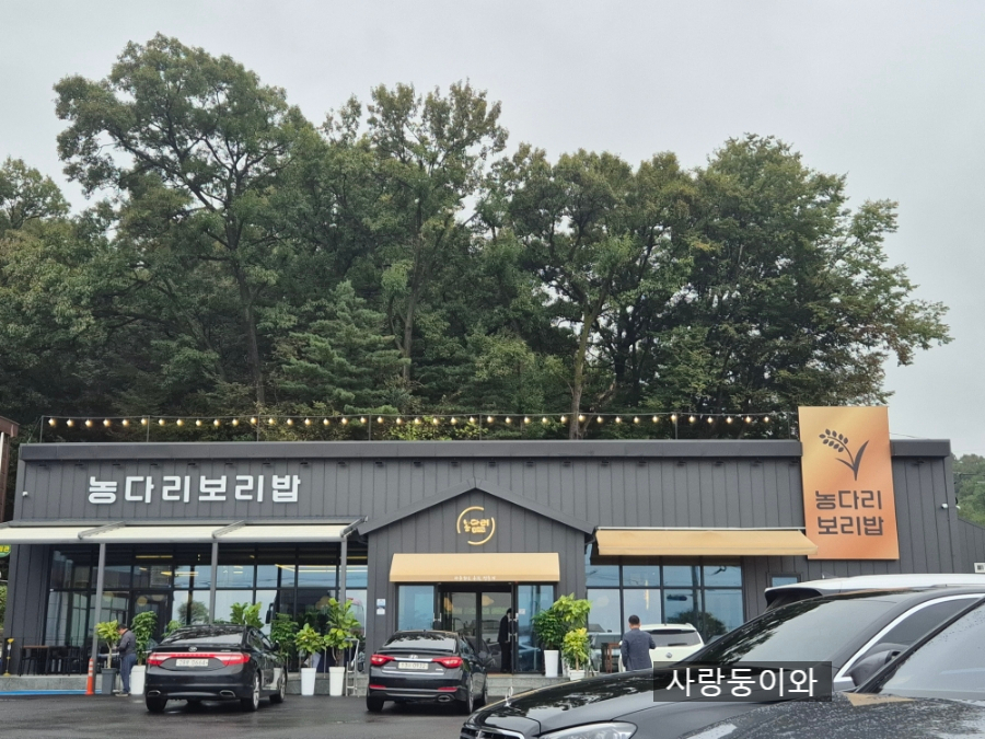 농다리보리밥 이미지