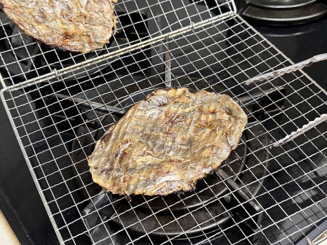 창신견과 이미지