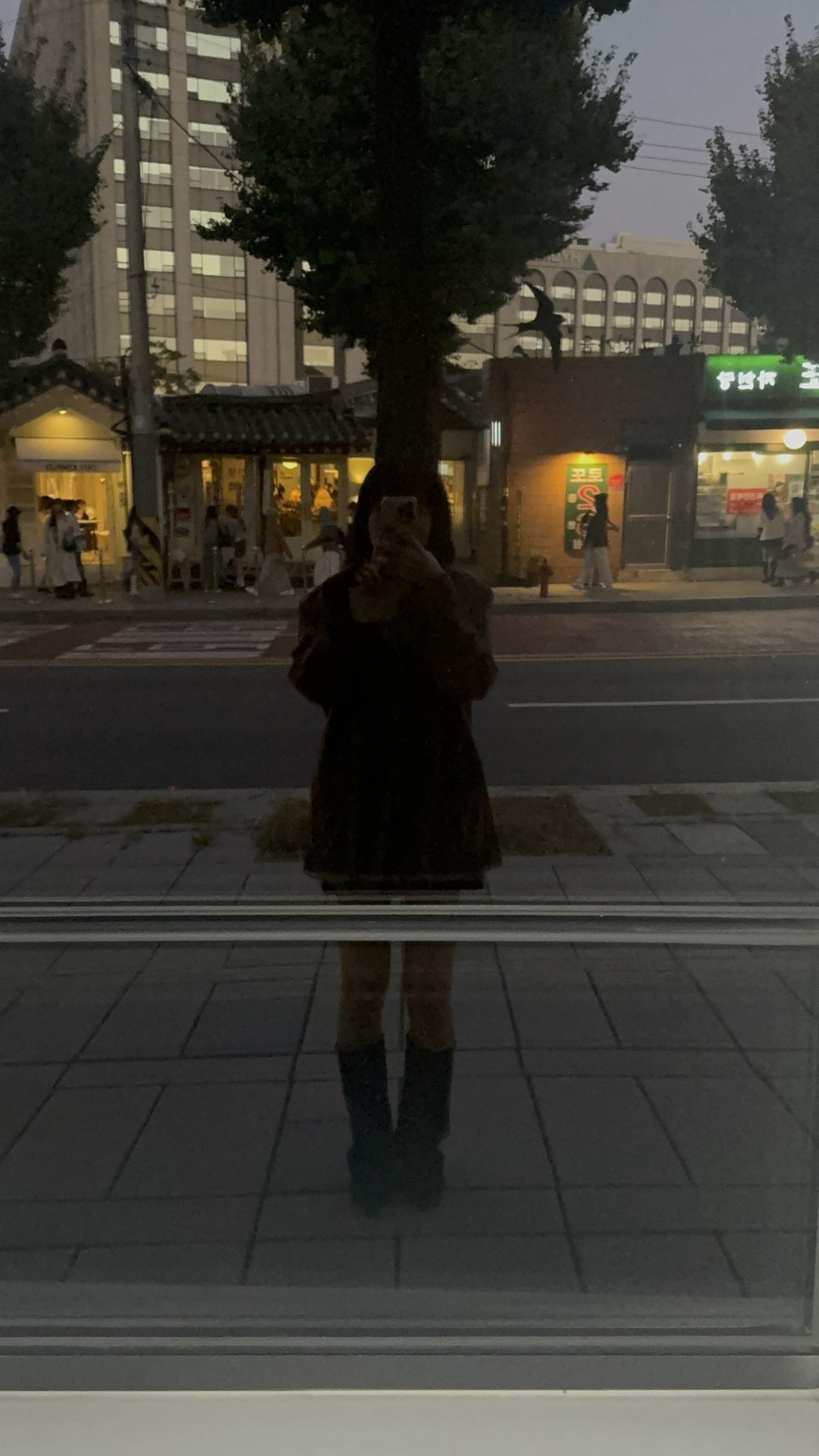 025S 티솔로지 이미지