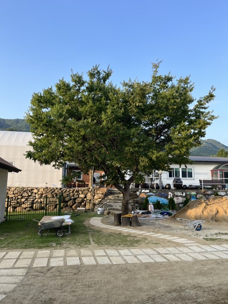 캄비오 캠핑장 이미지