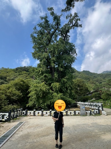 은행나무떡방 이미지