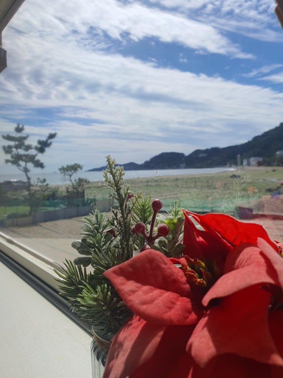 삼대한채 이미지