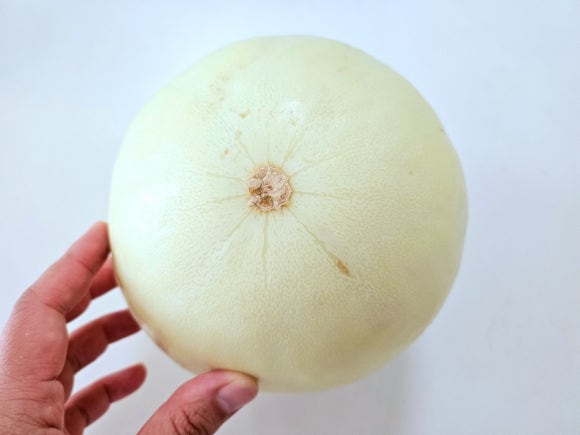 올프룻 이미지