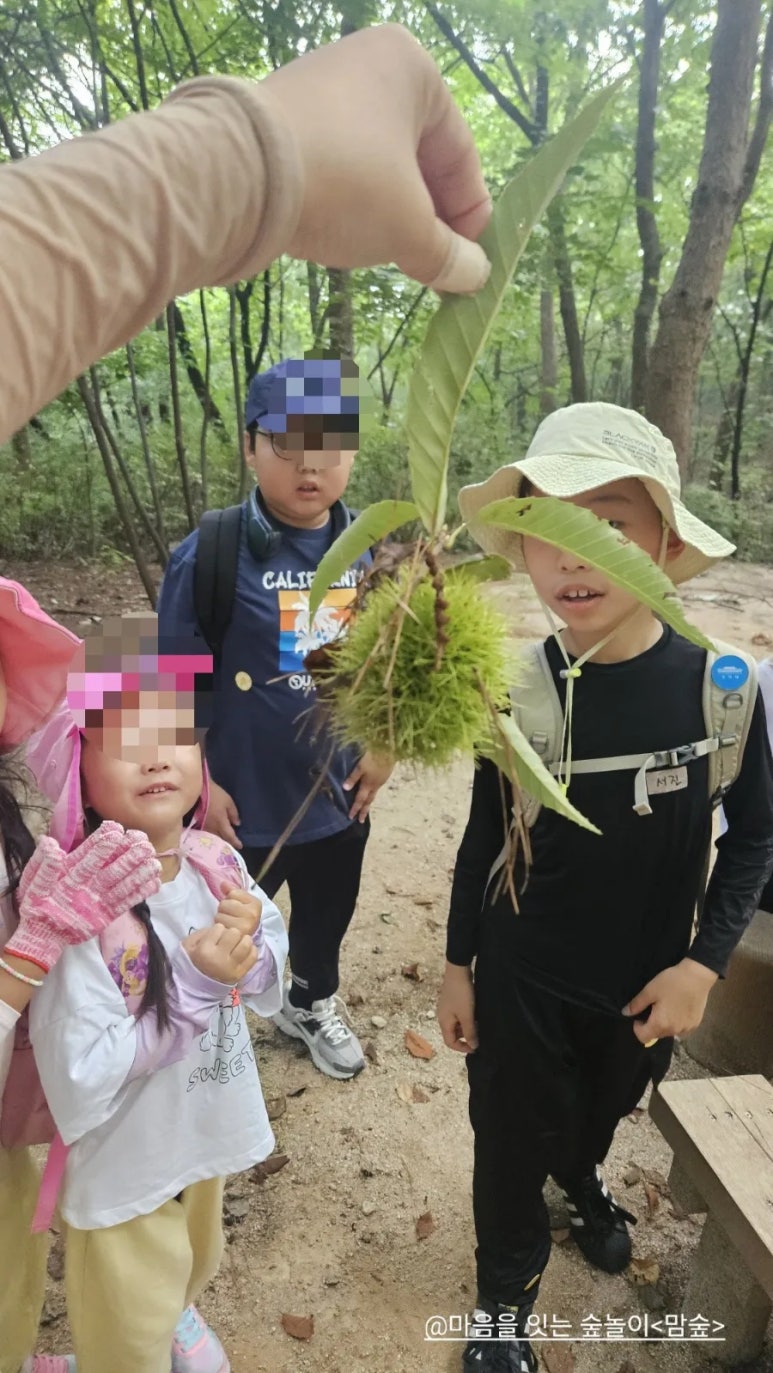 북서울꿈의숲 유아숲체험원 이미지