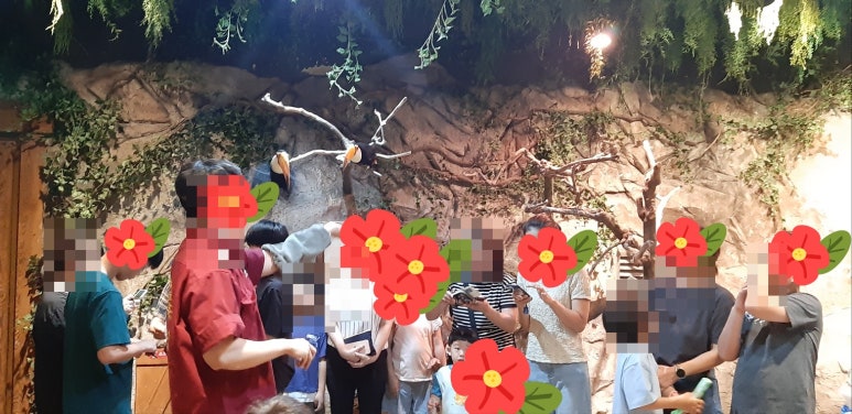 하이드림온 이미지