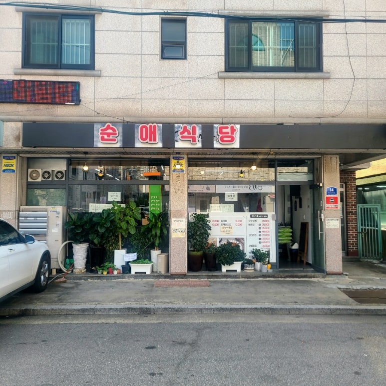 순애식당 이미지