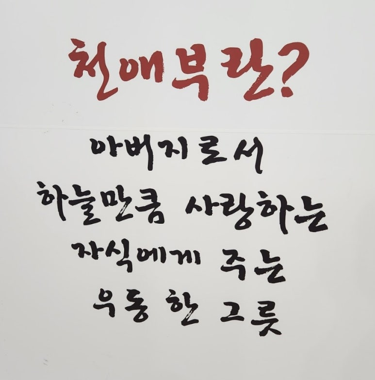 천애부히쇼우 이미지