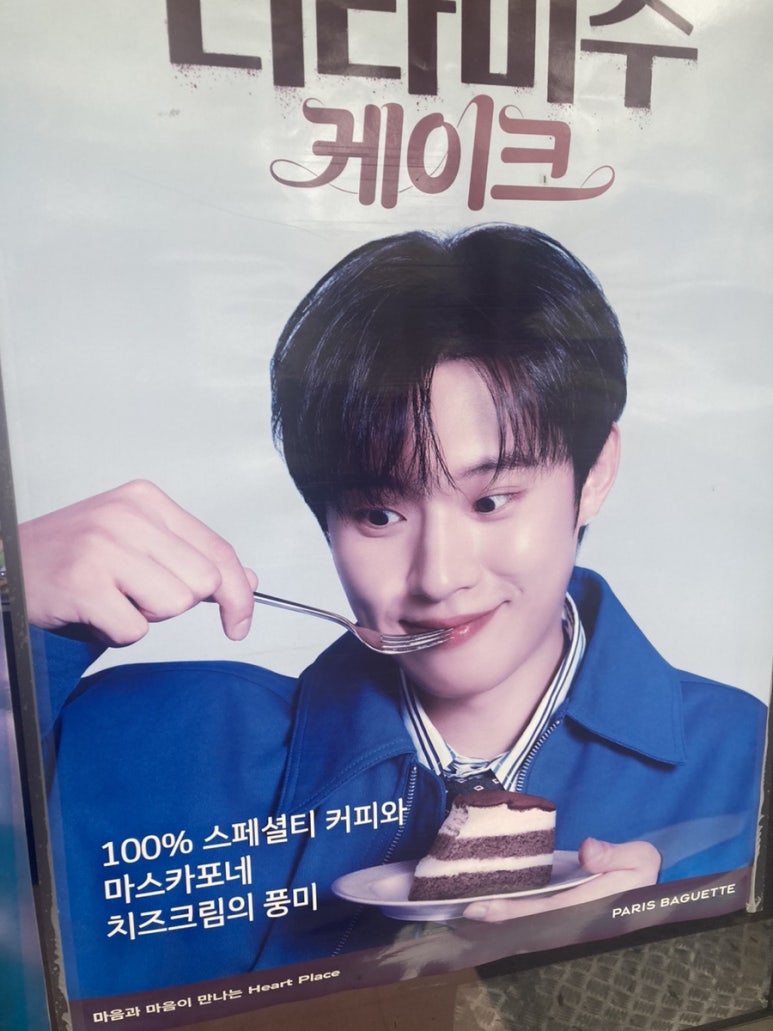 오씨드 이미지