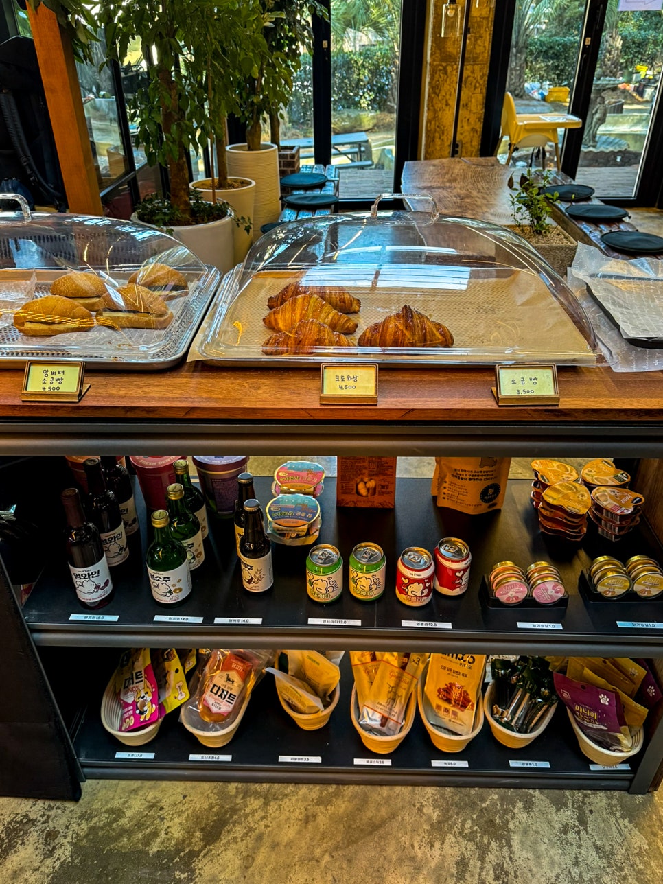 콜로세움제주 이미지