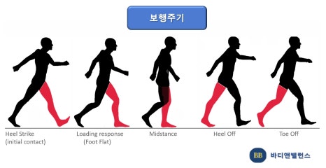 에이치핏 이미지