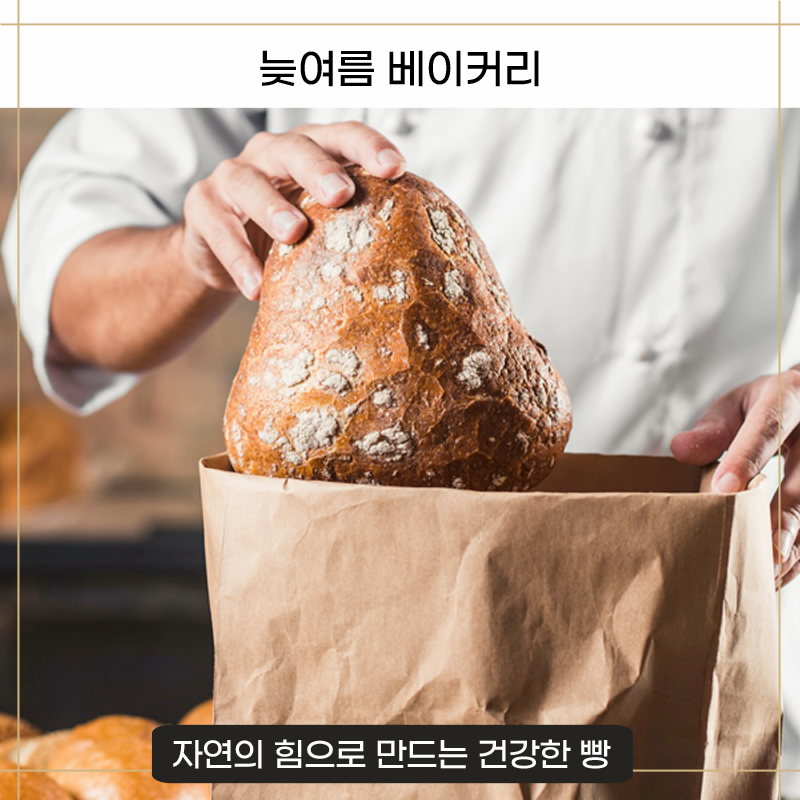 건강한 빵 이미지