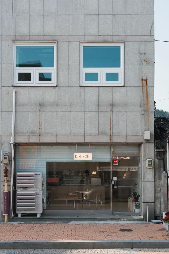 딤코히 이미지