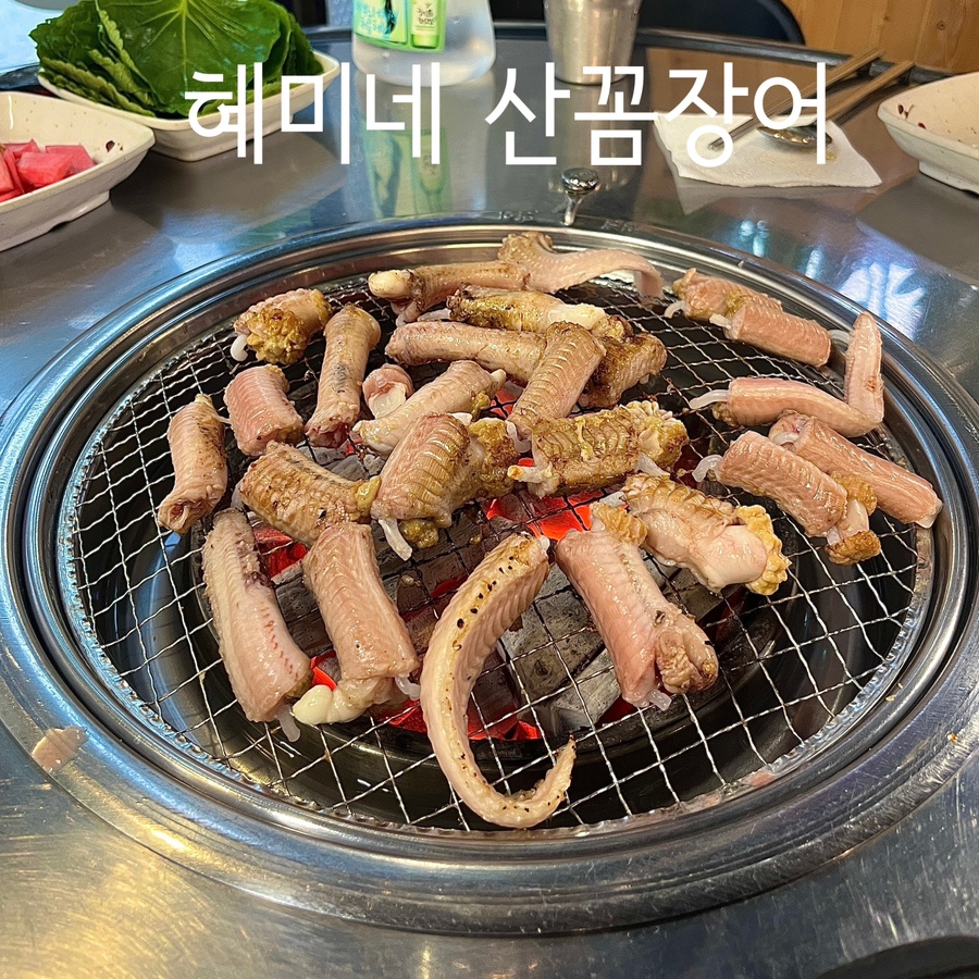혜미네산꼼장어 이미지