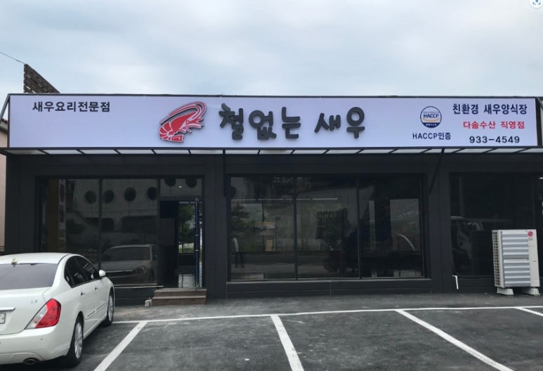 철없는 새우 이미지