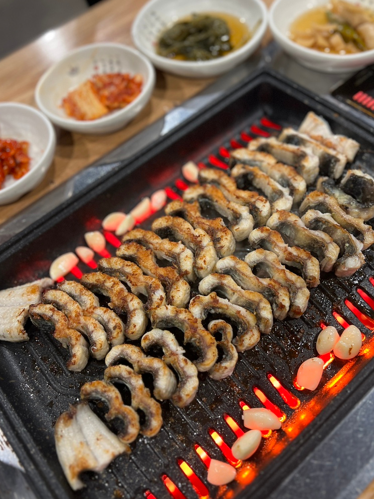 힘쎈민물장어 이미지
