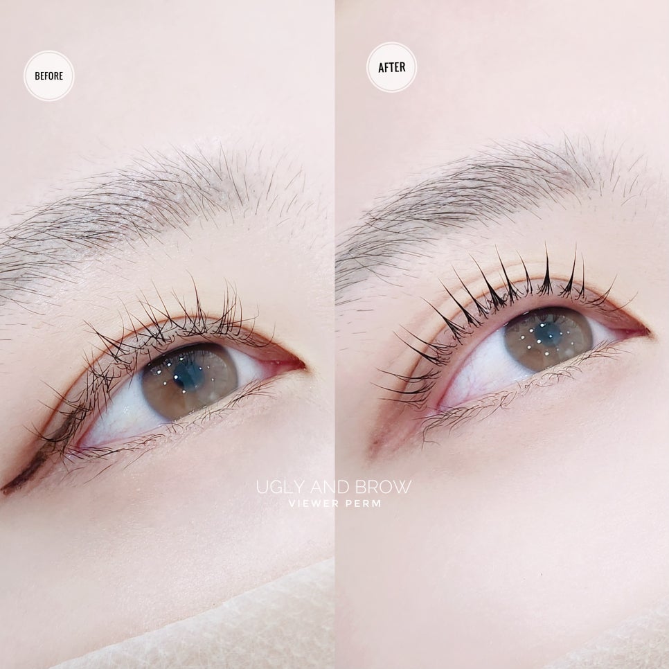 디데이브로우 이미지