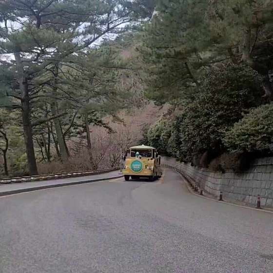 자갈마당 이미지