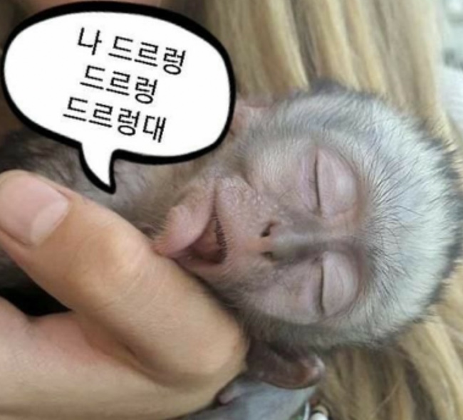 햇님달님 이미지