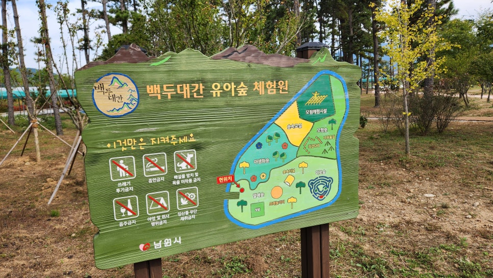 백두대간 유아숲체험원 이미지