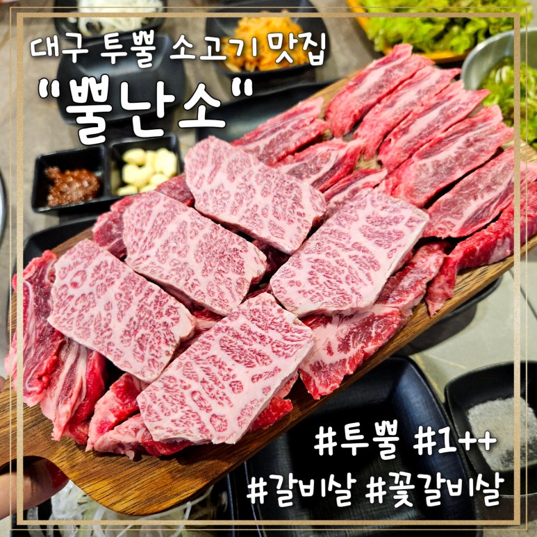 뿔난소 이미지