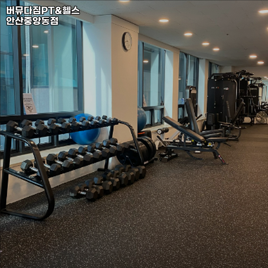 버뮤다짐PT&헬스안산중앙동점 이미지