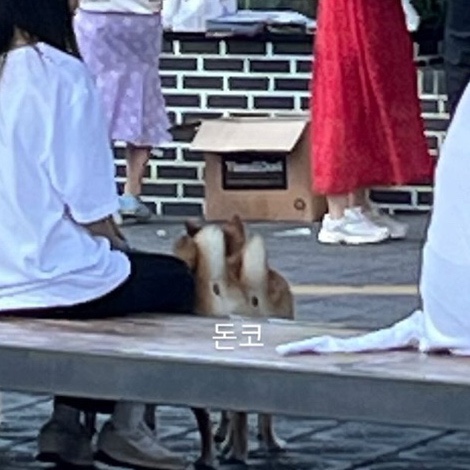 황리단길카니발 이미지