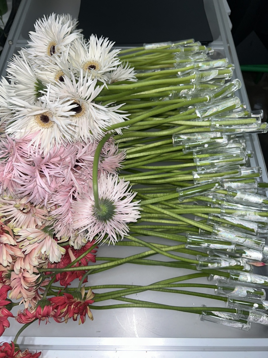 원카피랜드 이미지