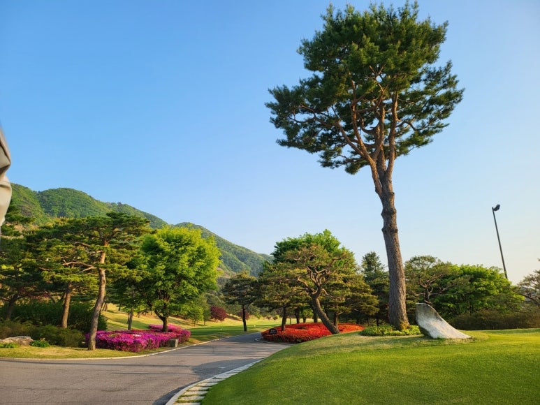 (주)태영레져 이미지