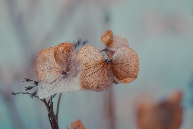 밀레경남 이미지