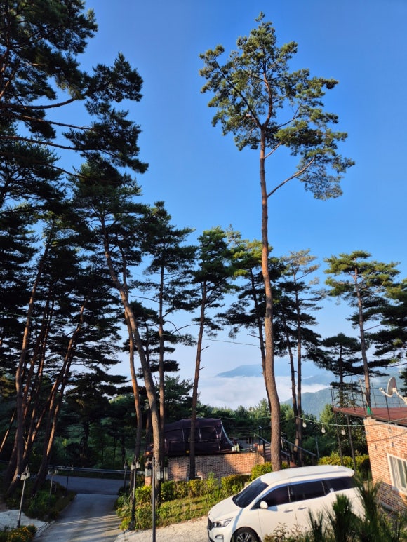 하하호호캠핑장 이미지