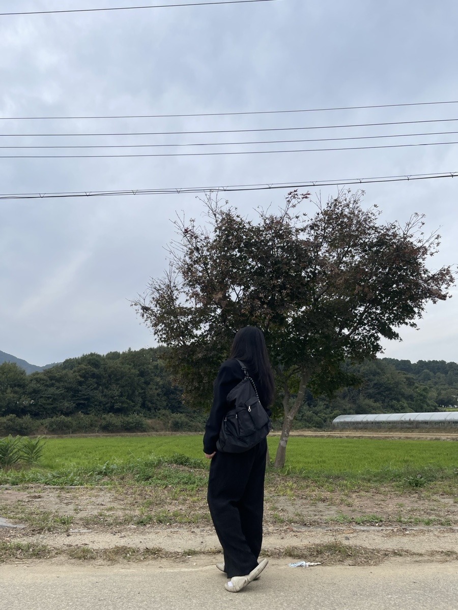 들고메고 이미지