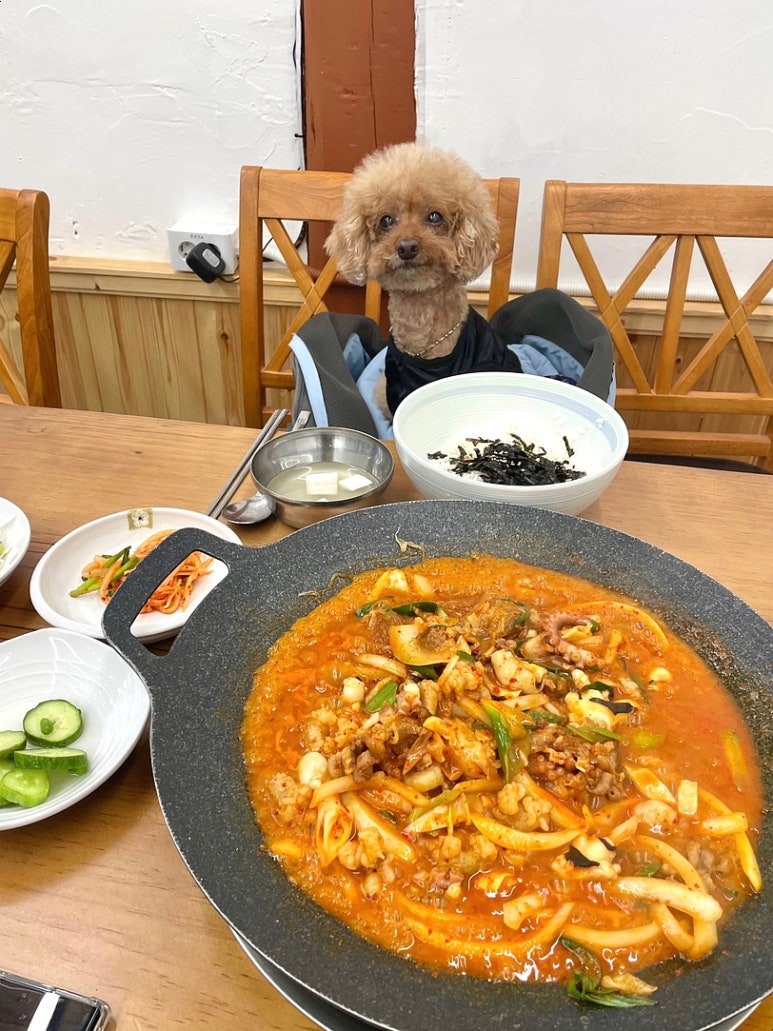 도미진낙곱새 이미지