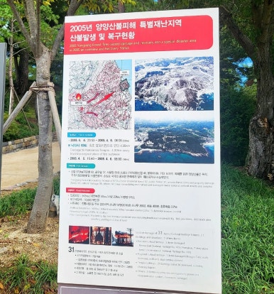 원통 양양방향 이미지