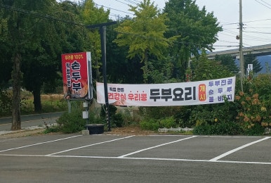 지평선두부 이미지