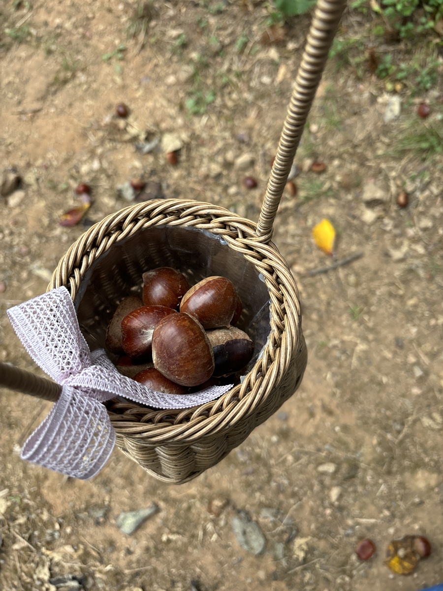 주연농장 이미지