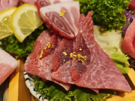 큰물참치 이미지
