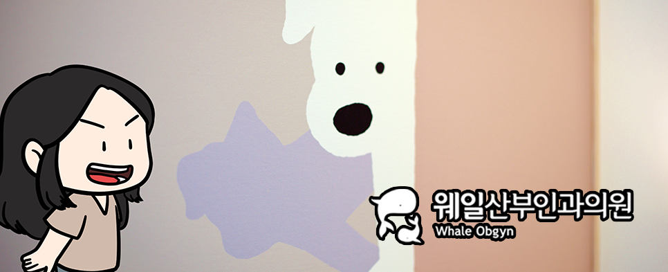 제이웨일 이미지
