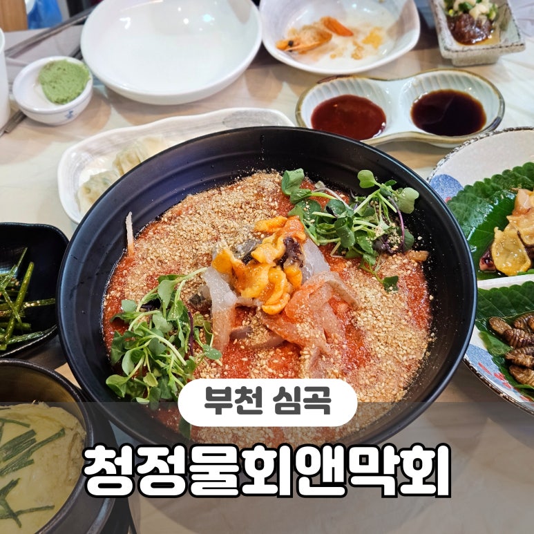 청정물회엔막회 이미지