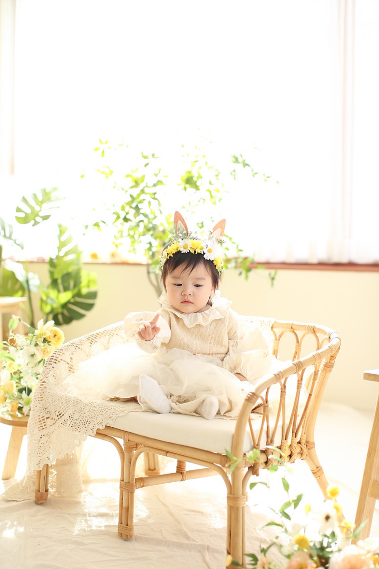 로이레스튜디오 이미지